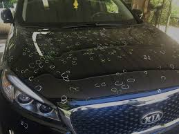 hail damage repair houston