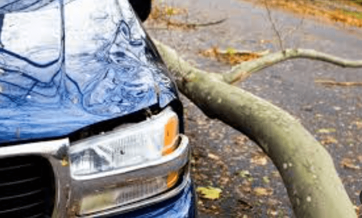 A Comprehensive Guide to Understanding Comprehensive Car Insurance